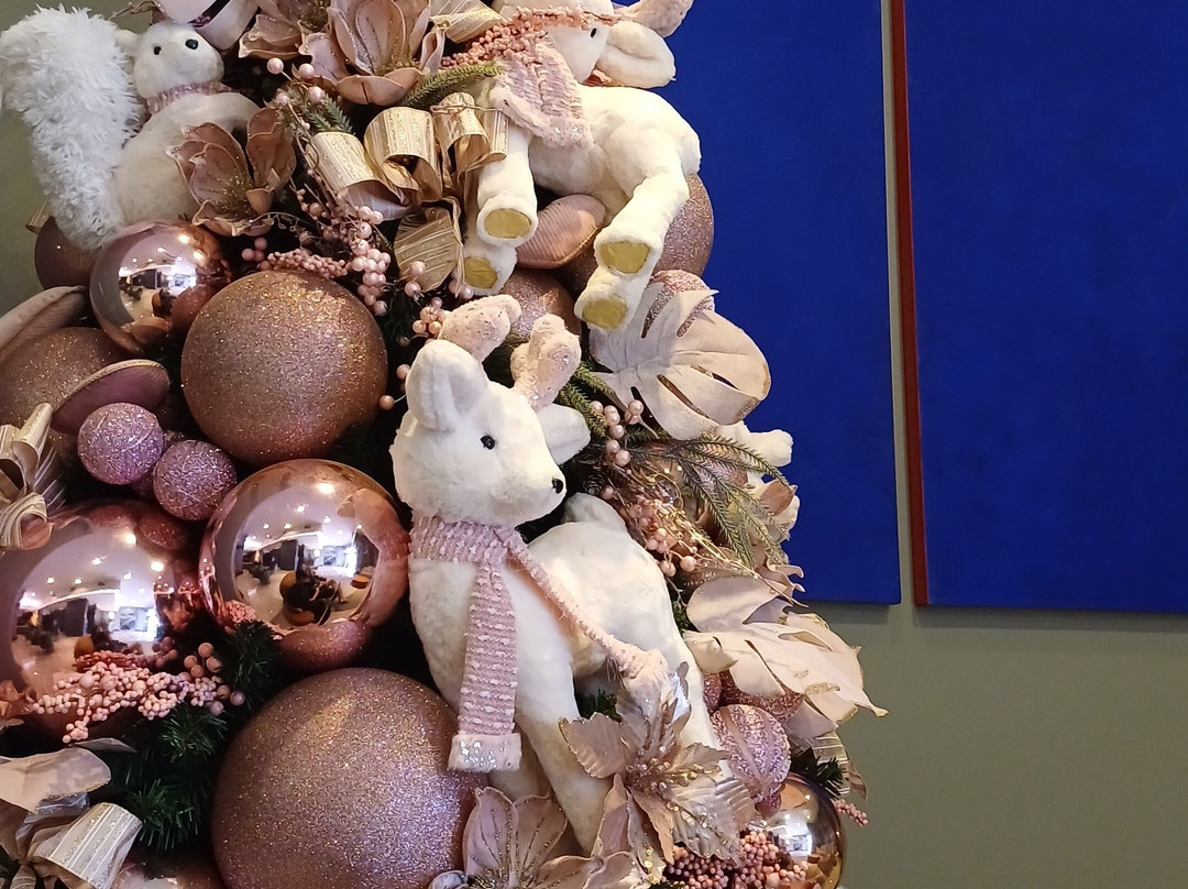 Hotel Araucária Plaza主图