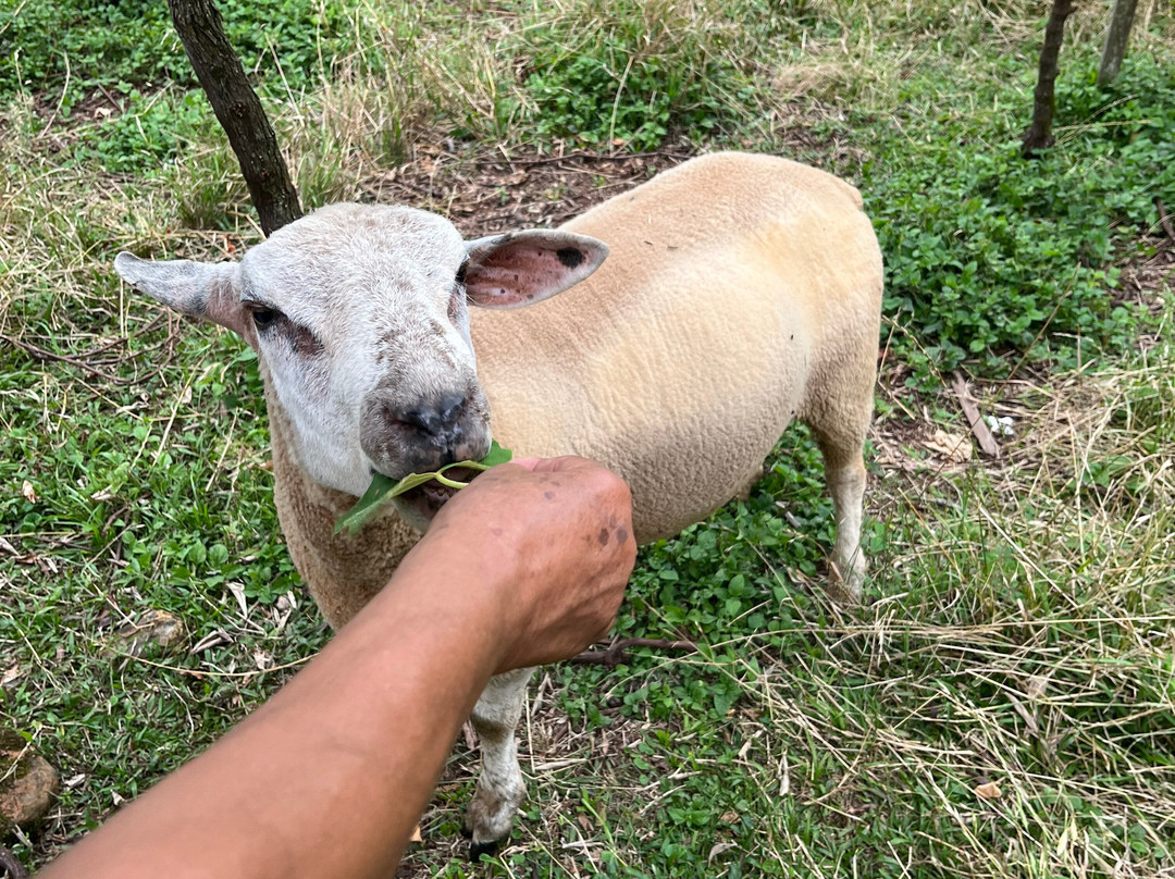 Casa Sander-Nova Petropolis必去景点