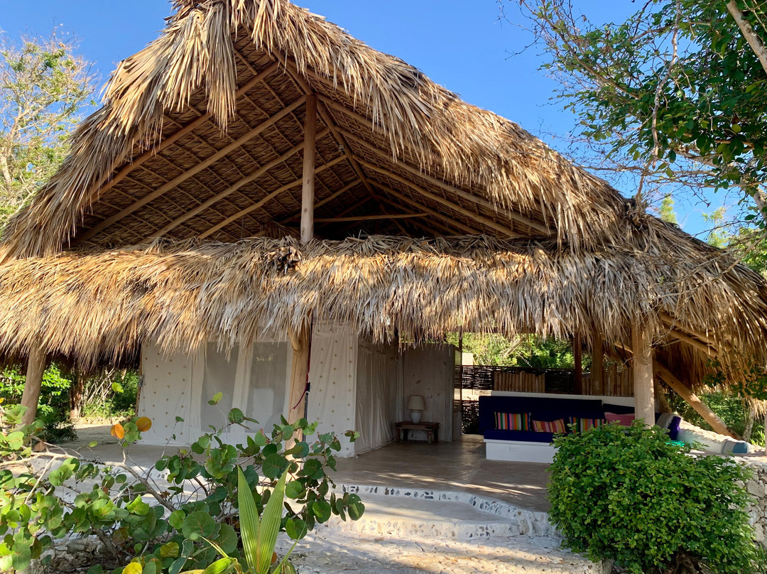 Ki-ra Holistic Living主图