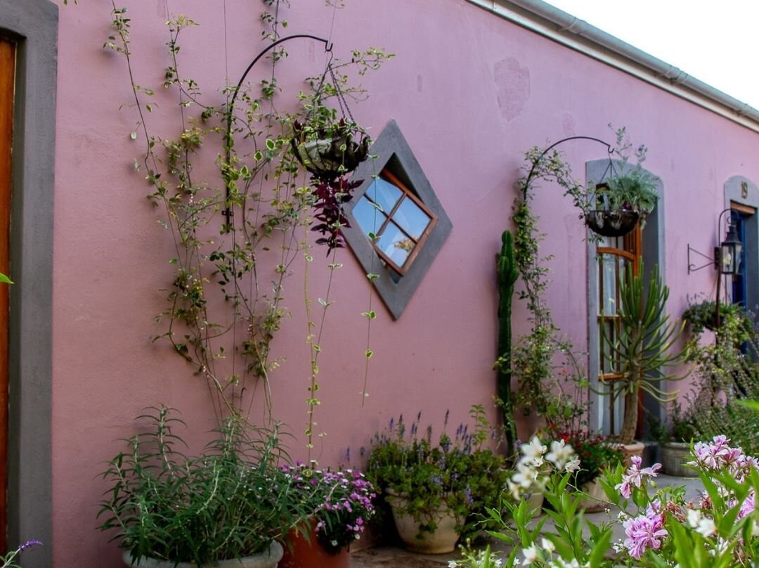 Ebonymoon Guest House and Studio主图