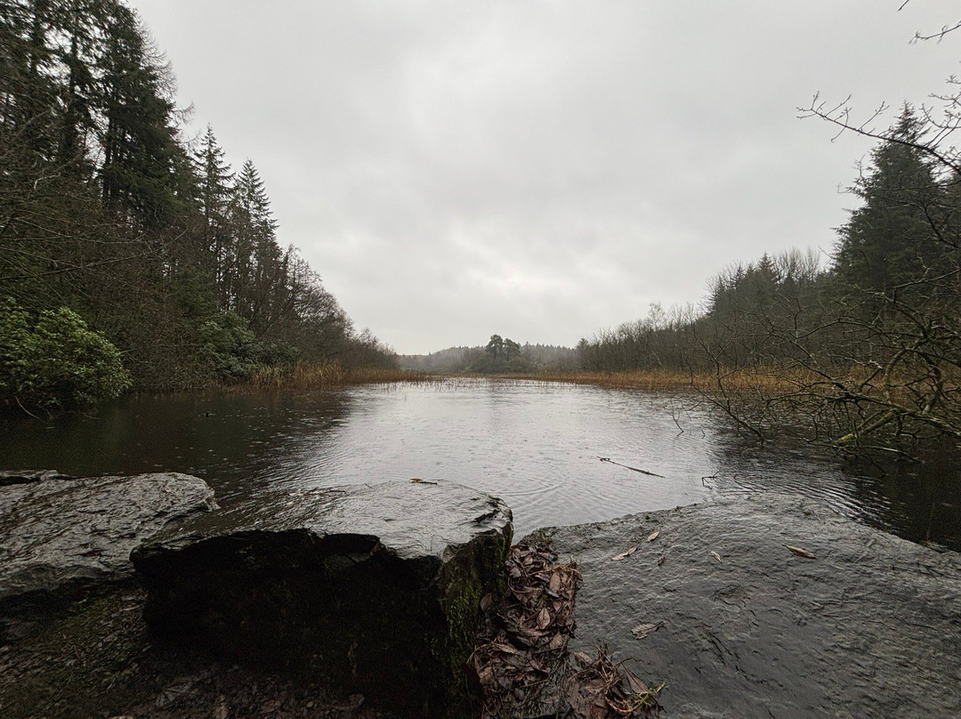 County Monaghan旅游景点-Rossmore Forest Park, Monaghan