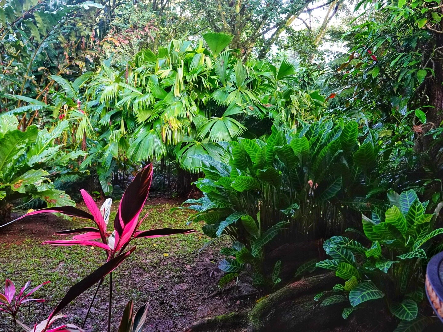 Tacacori Ecolodge-官方