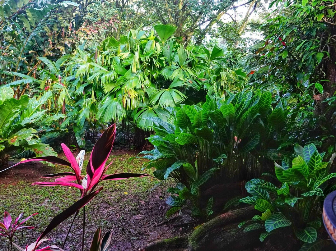 Tacacori Ecolodge主图