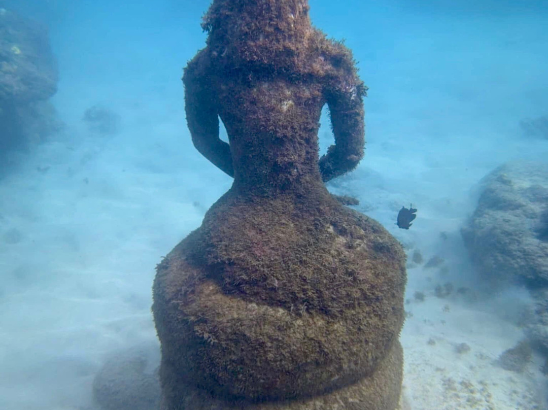 Eco Dive-St. George's必去景点