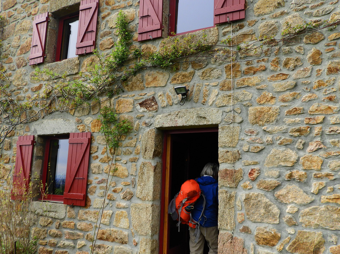 Les Herbes Sauvages主图