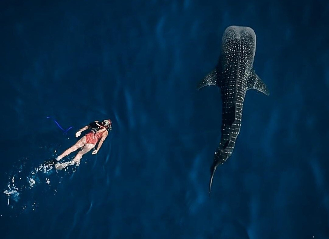 Tata Pesona-龙目岛必去景点