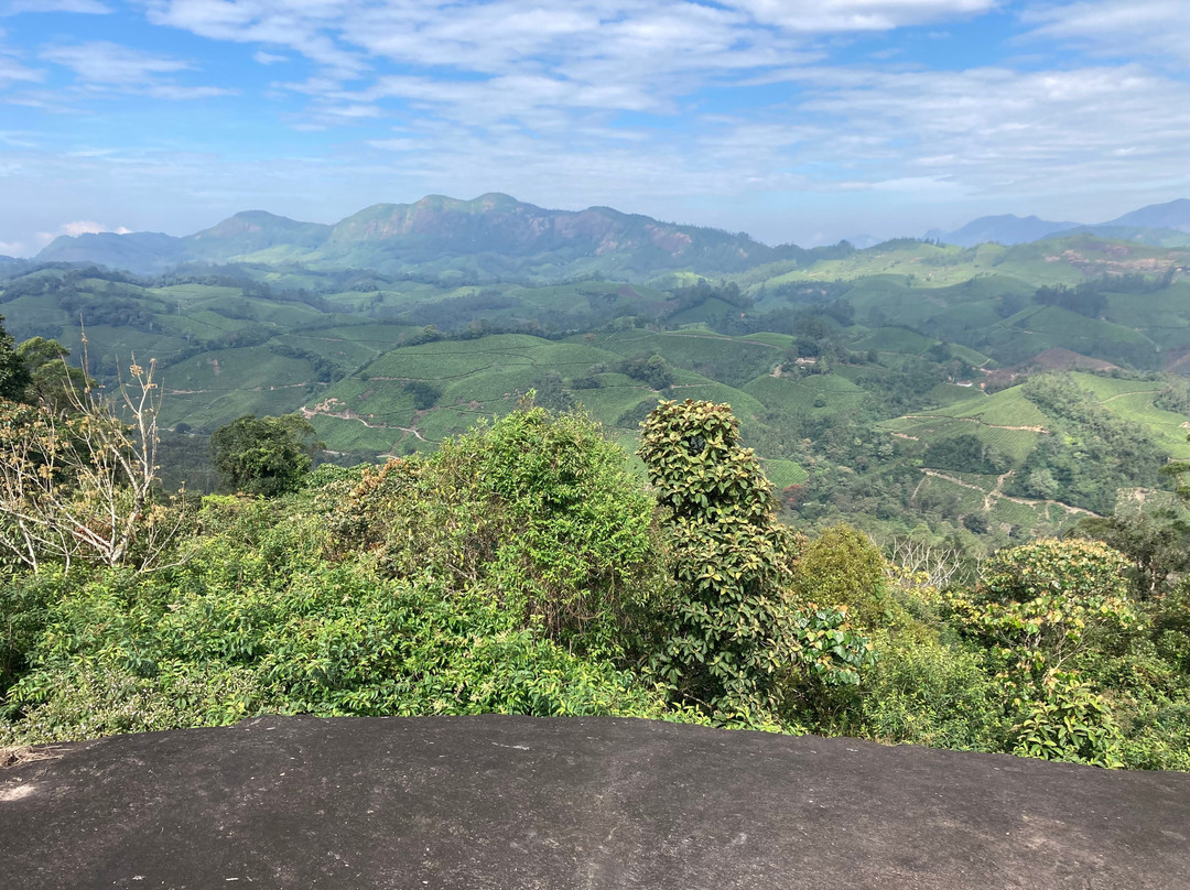 Munnar tea Green trekking adventure景点图片