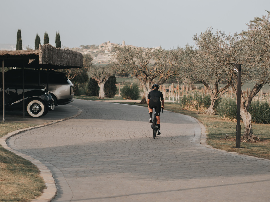 Mas de Torrent Hotel & Spa主图