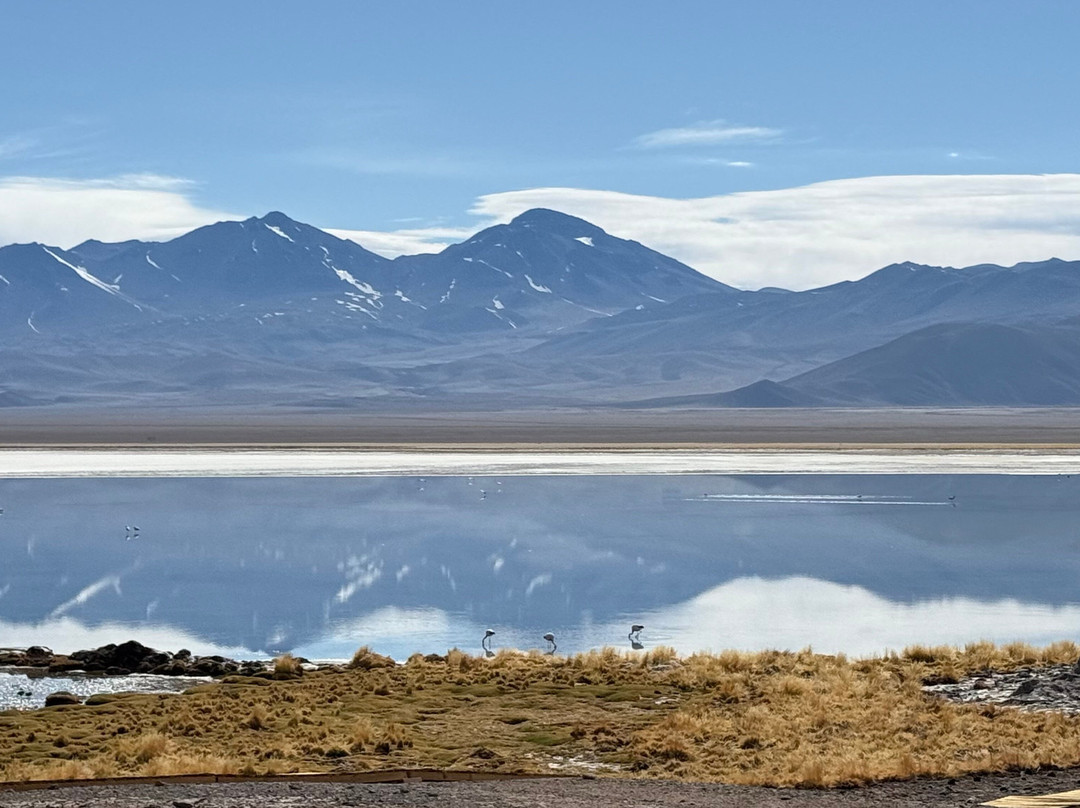 Tour Operador Puna de Atacama-Copiapo必去景点
