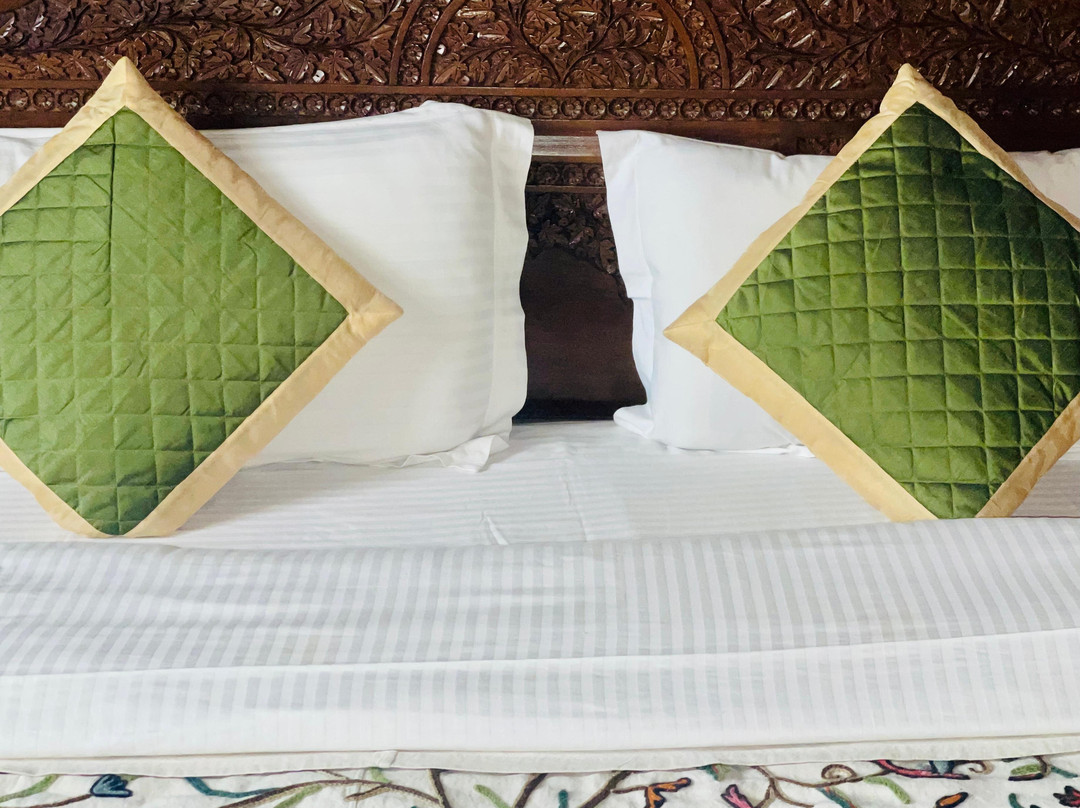 Dilshad Houseboats主图