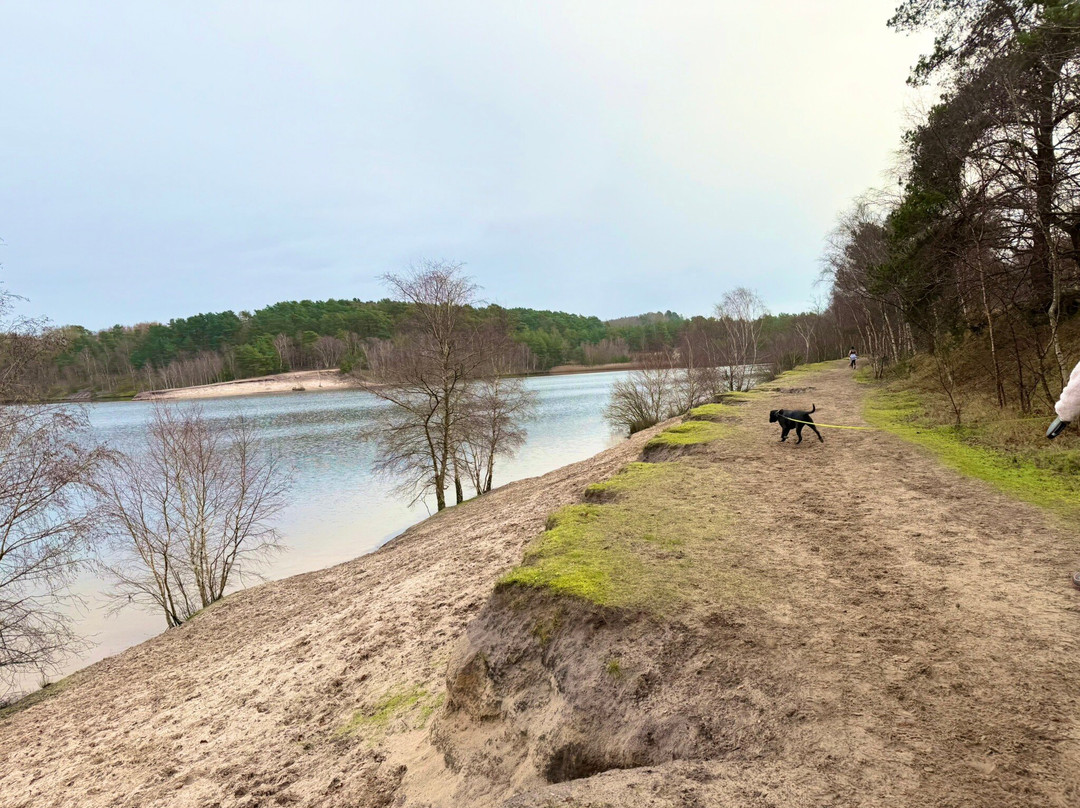 Bawsey Country Park-金斯林必去景点