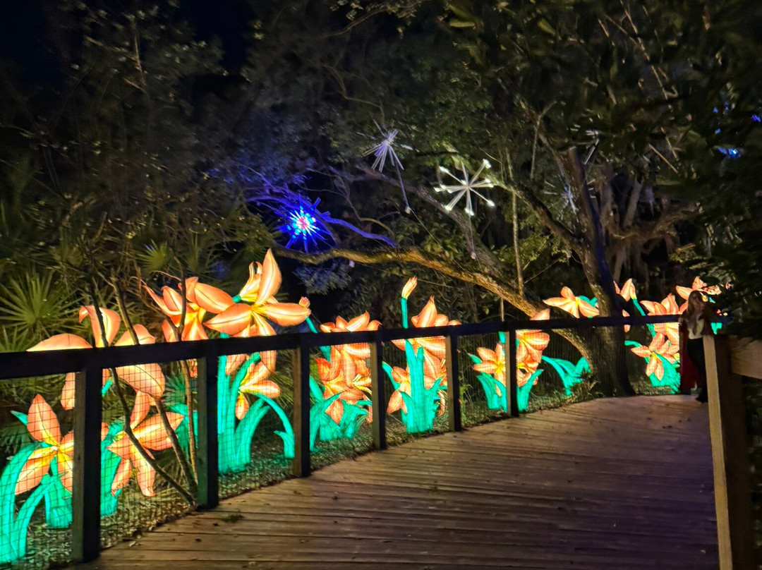 Asian Lantern Festival-桑福德必去景点