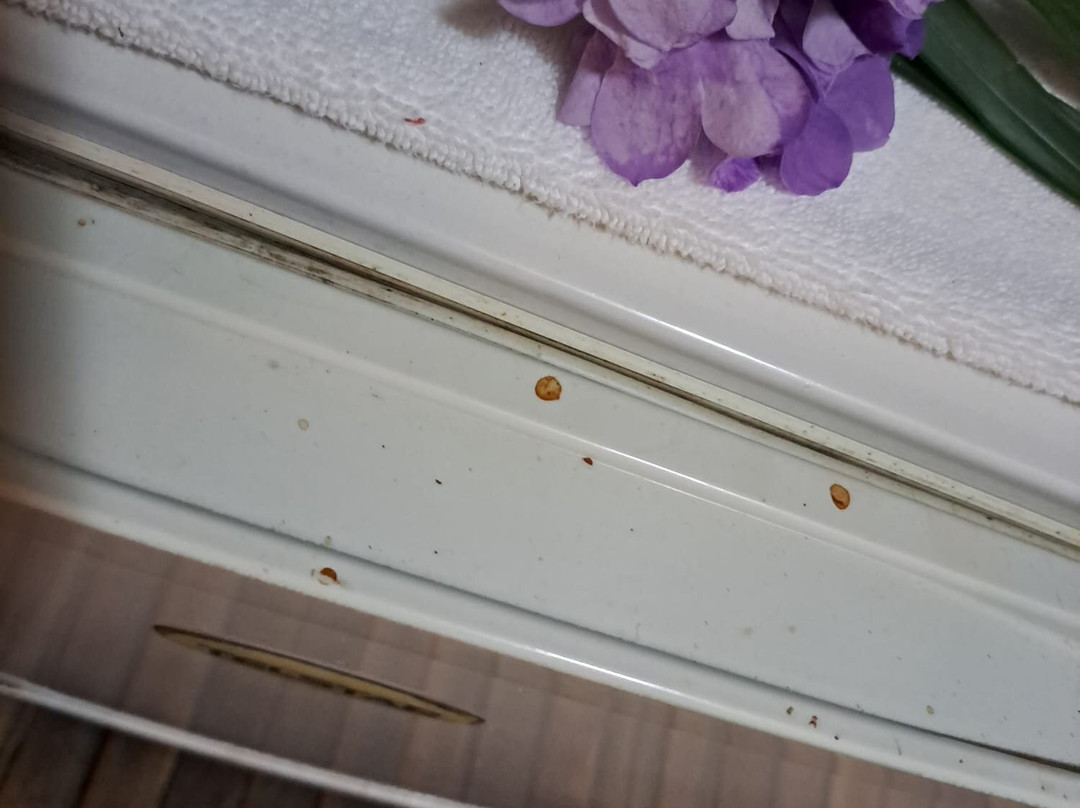 Clandestino Beach Resort主图