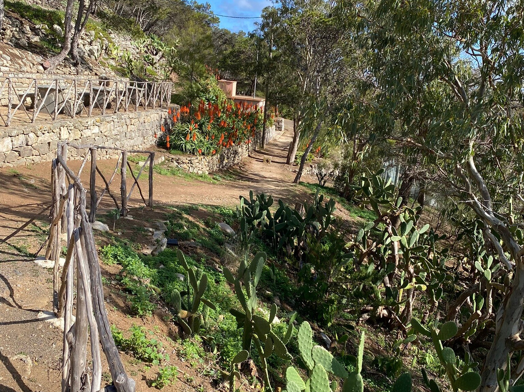 Miradouro do Pico do Castelo-Porto Santo Island必去景点