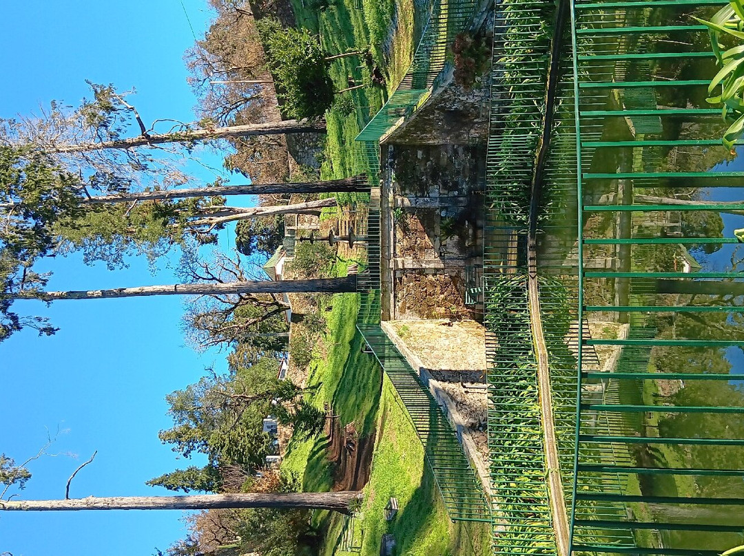 Sanctuary of Nossa Senhora das Preces景点图片
