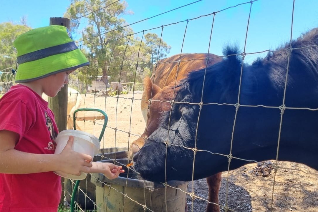Countrylife Farm-戴士柏必去景点