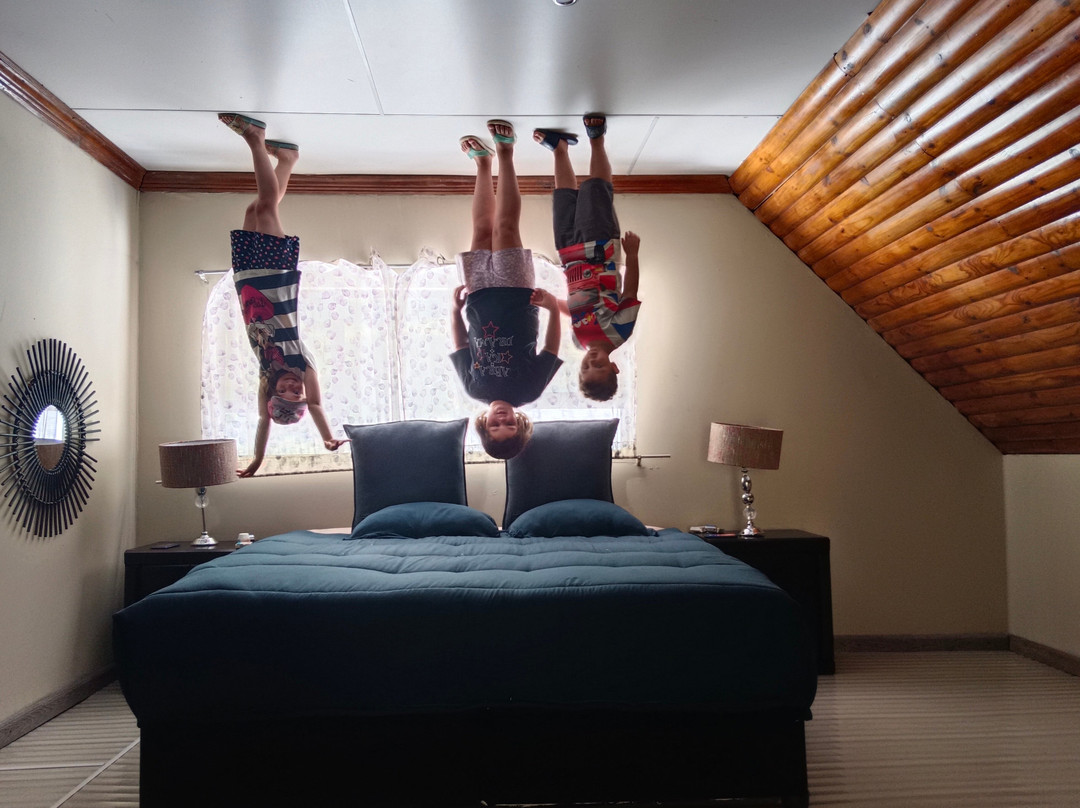 Upside Down House-Broederstroom必去景点