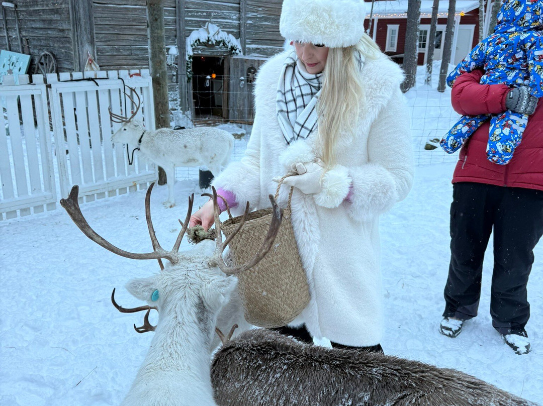 Reindeer Cottage景点图片