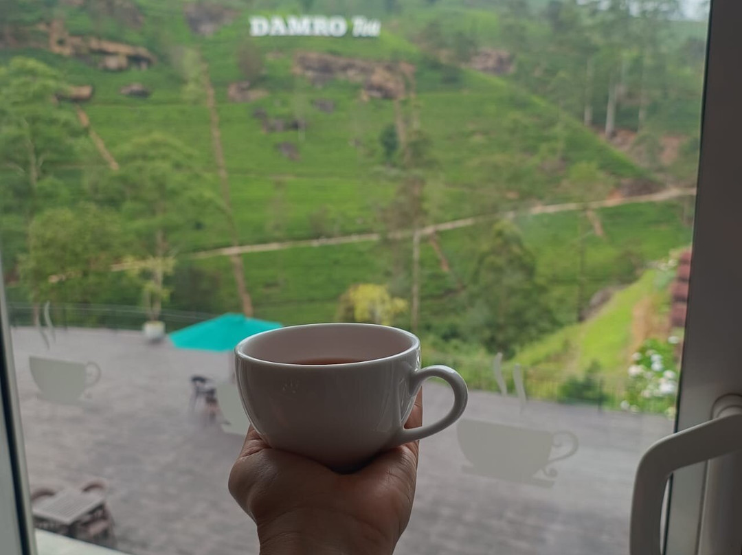 City Tours India-新德里必去景点