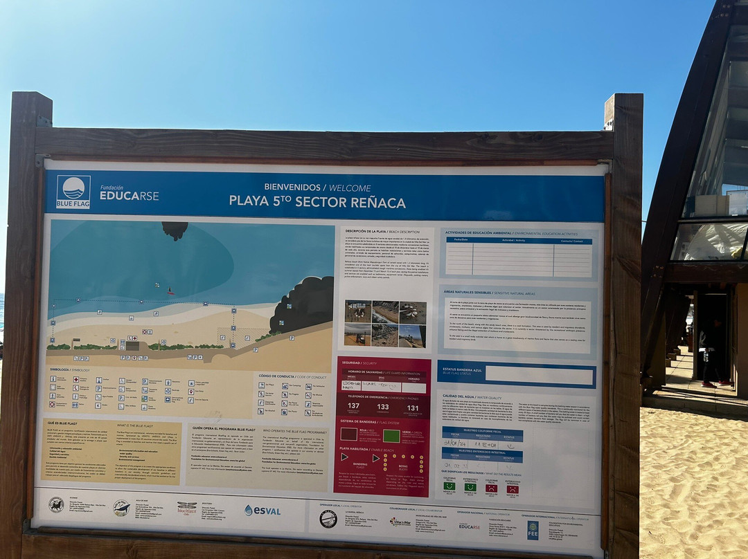 Playa Renaca-比尼亚德尔马必去景点