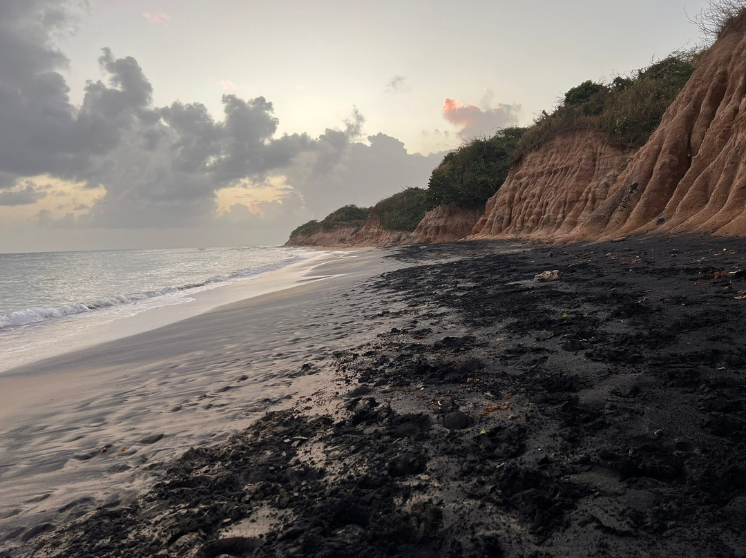 Black Sand Beach-维切克岛必去景点