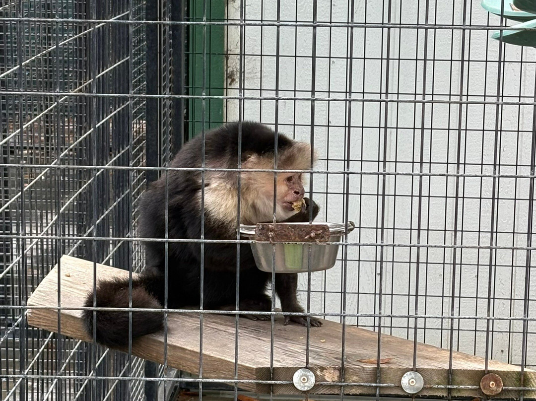Monterey Zoo景点图片