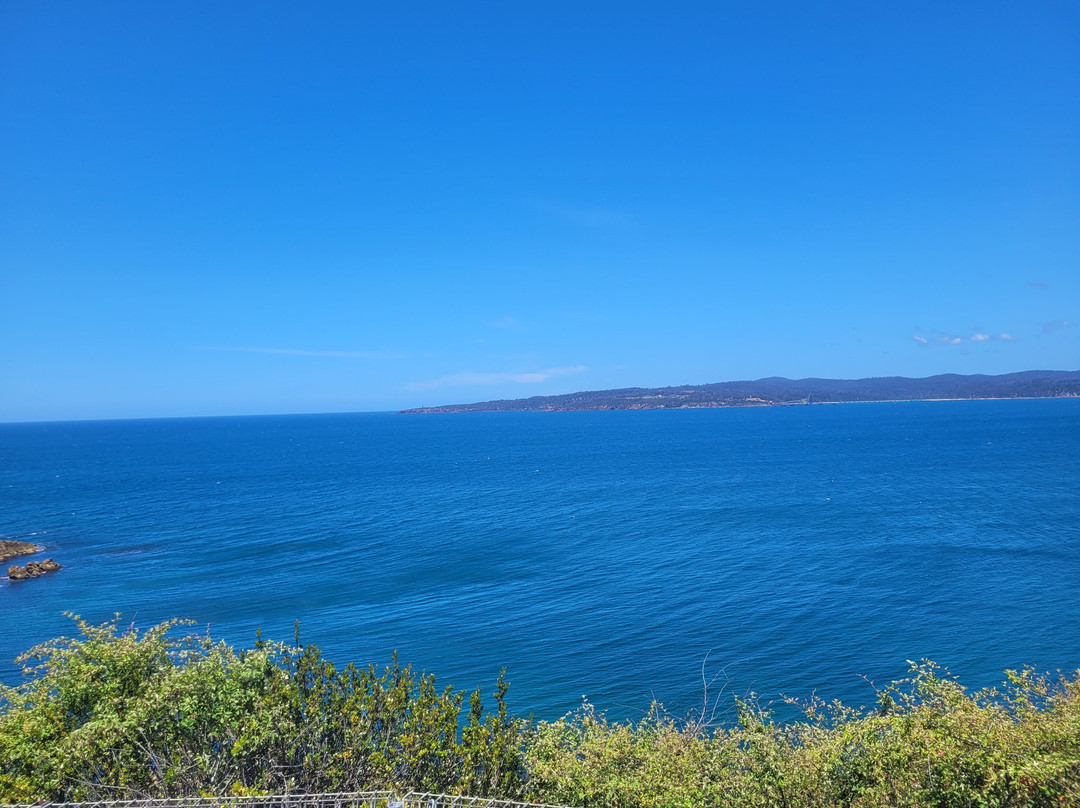 Eden Lookout and Rotary Park景点图片