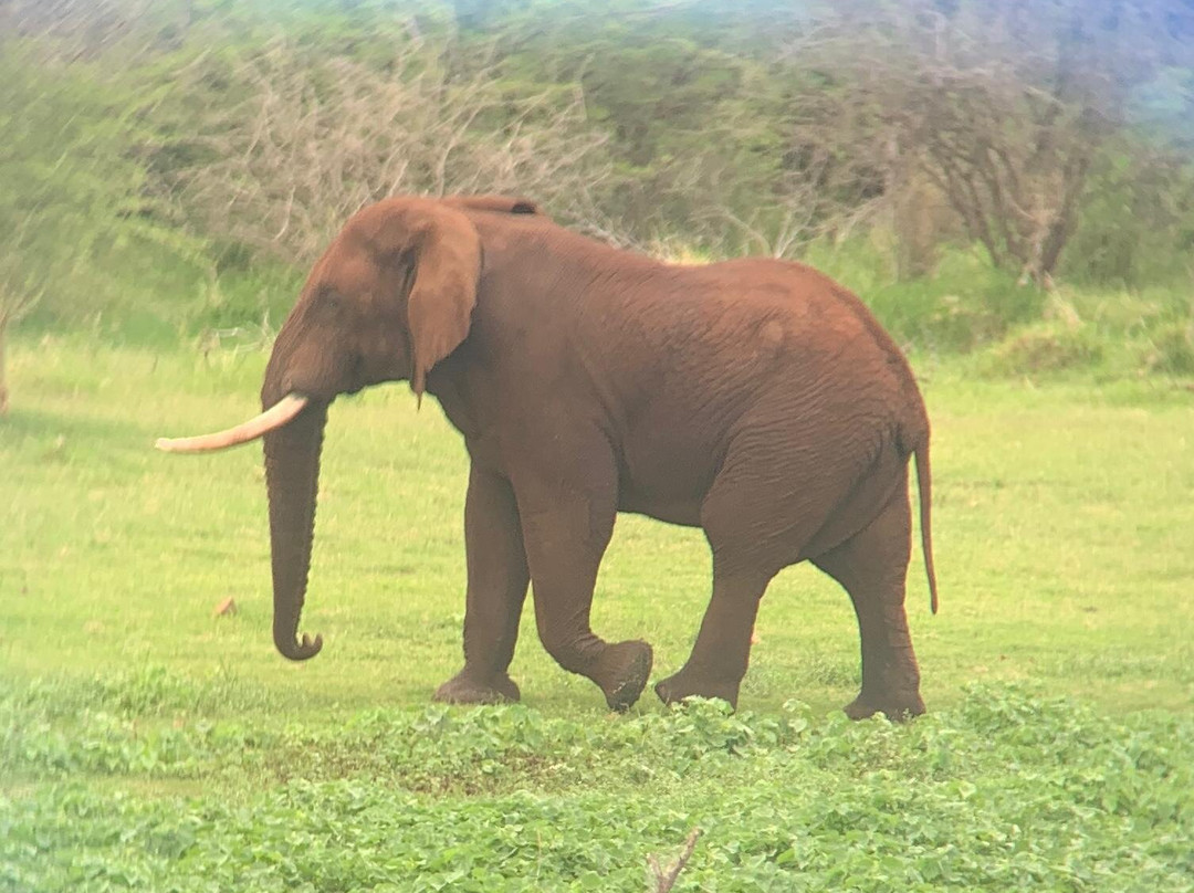 Shayamanzi Luxury Houseboats-Jozini必去景点