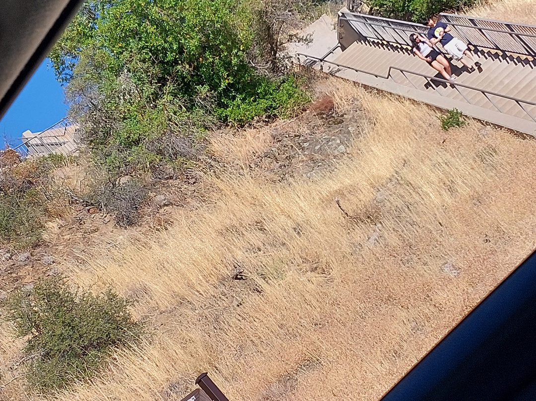 Sierra Azul Preserve-圣何塞必去景点