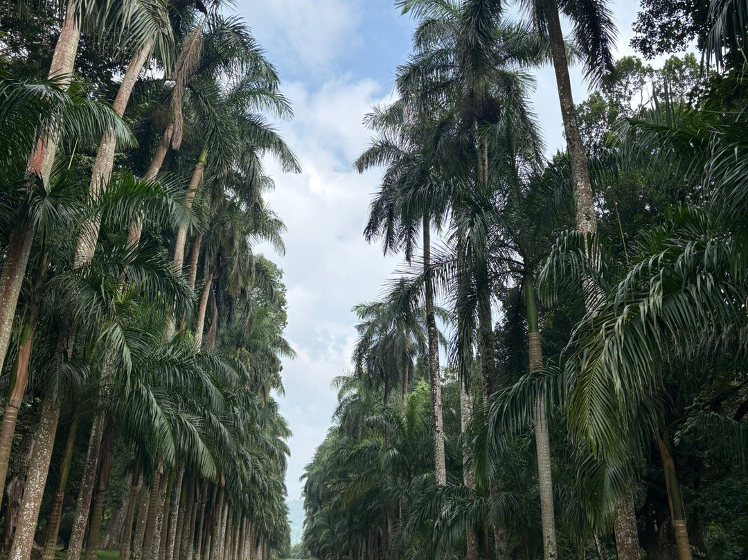 Ceylon Star Tours景点图片