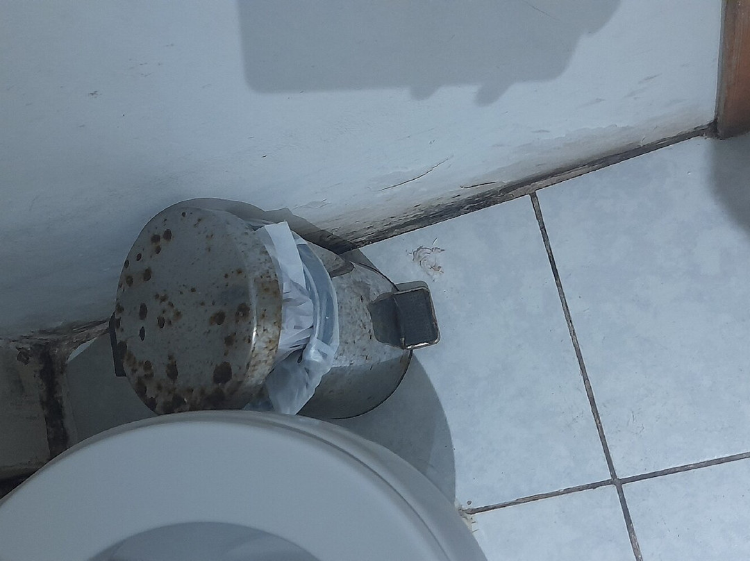 瓦尔帕莱索达芬奇酒店主图