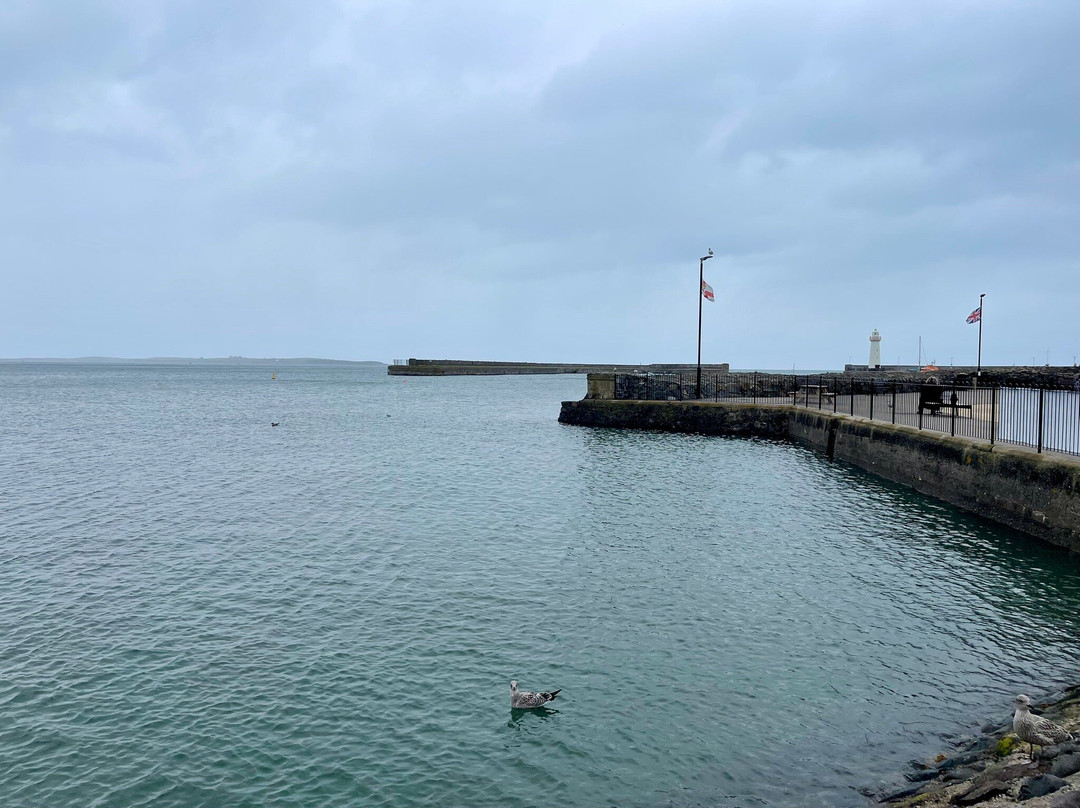 Donaghadee Harbour景点图片