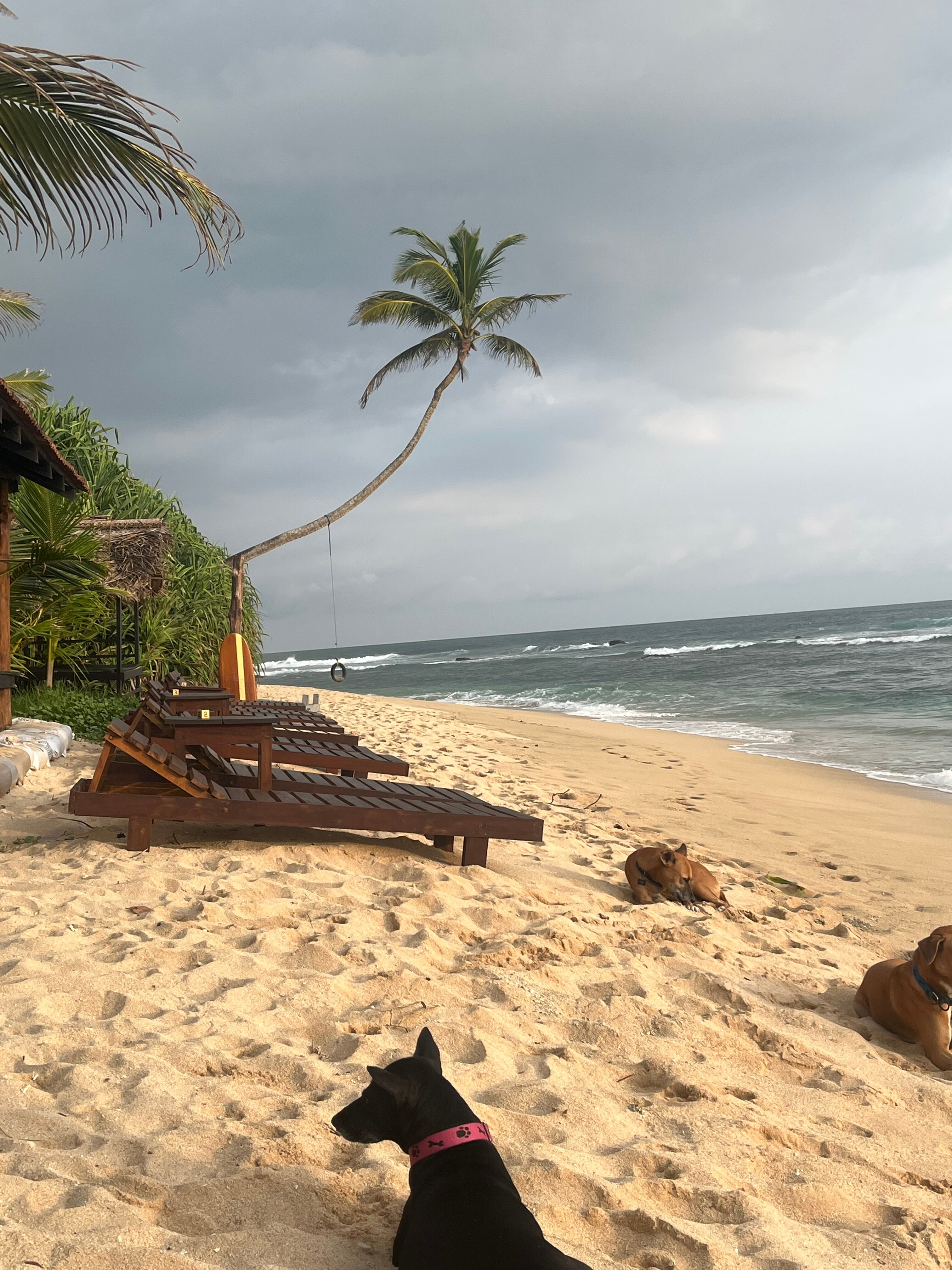 Sabine Holiday Resort & Restaurant-官方