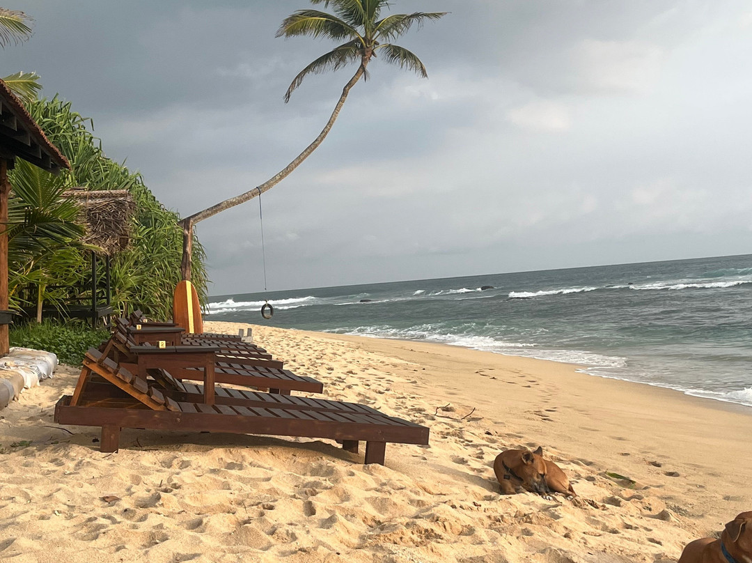 Sabine Holiday Resort & Restaurant主图