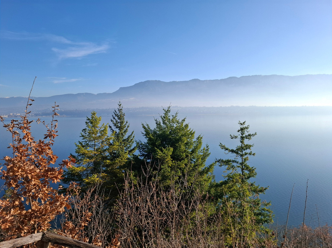 La Turqoise Egarée主图