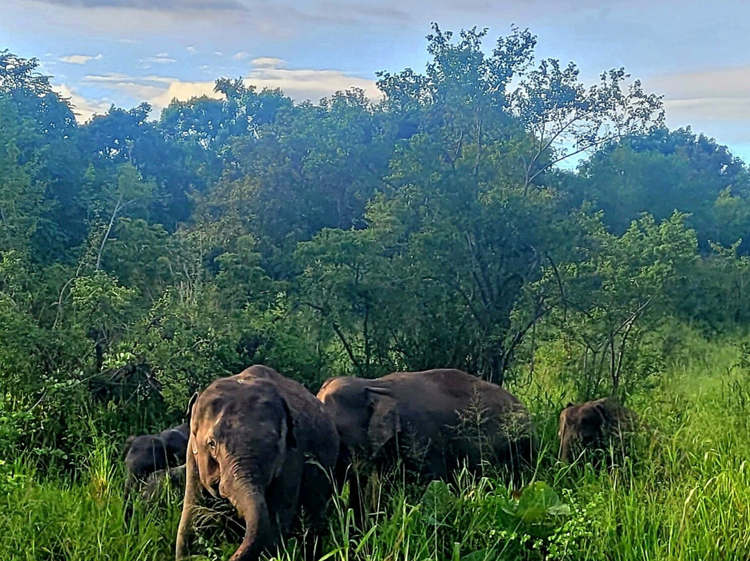 Sri Lanka Paradise Tours景点图片