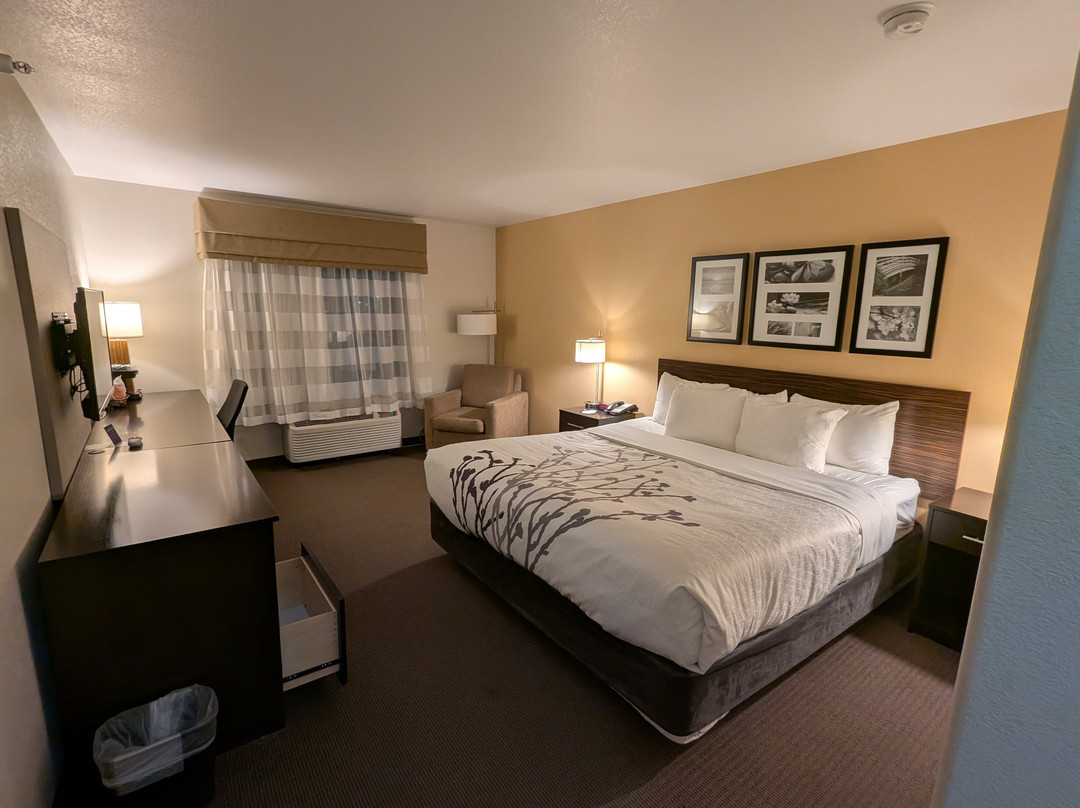 Sleep Inn & Suites Carlsbad Caverns Area主图