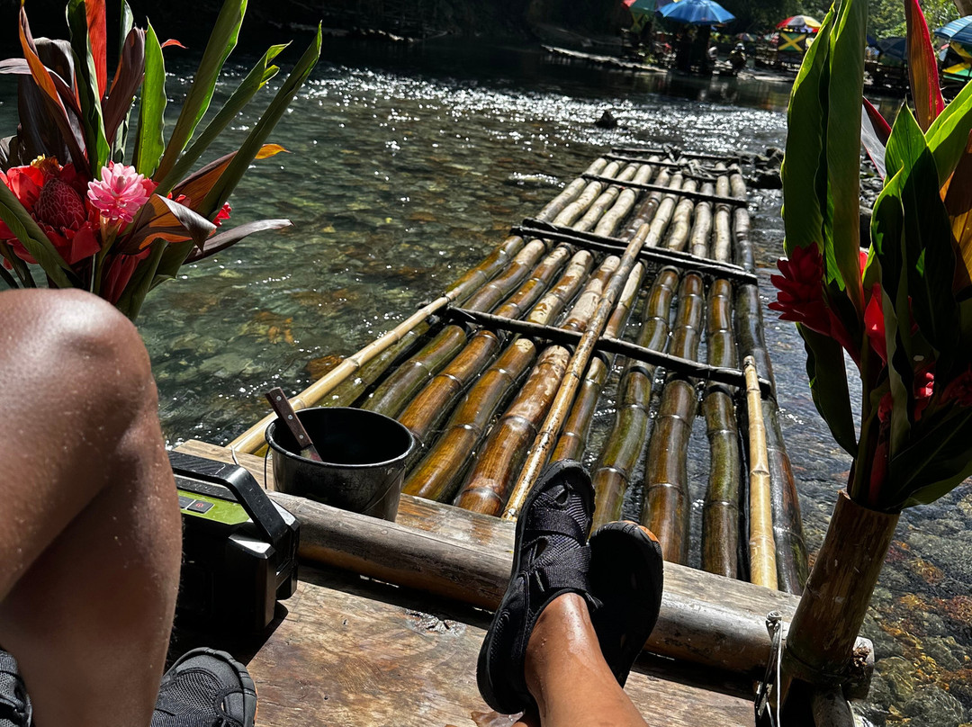 Hudson Excursions Jamaica Tours-法尔茅斯必去景点