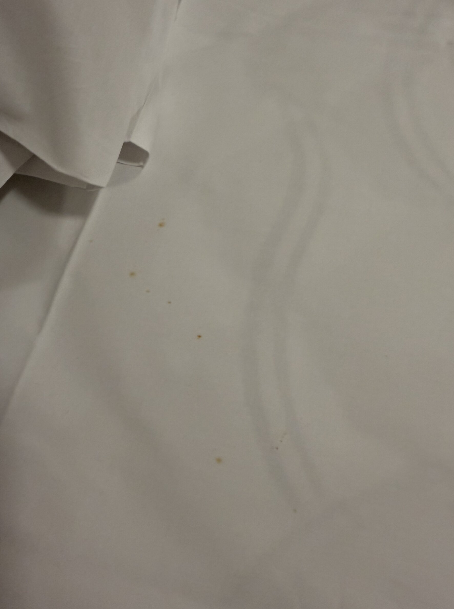 Ibis Budget Gosford-官方