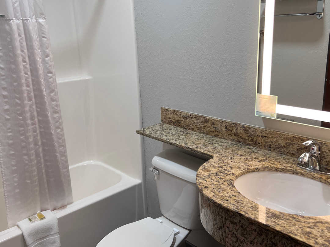 Microtel Inn & Suites by Wyndham Wheeling at Highlands主图