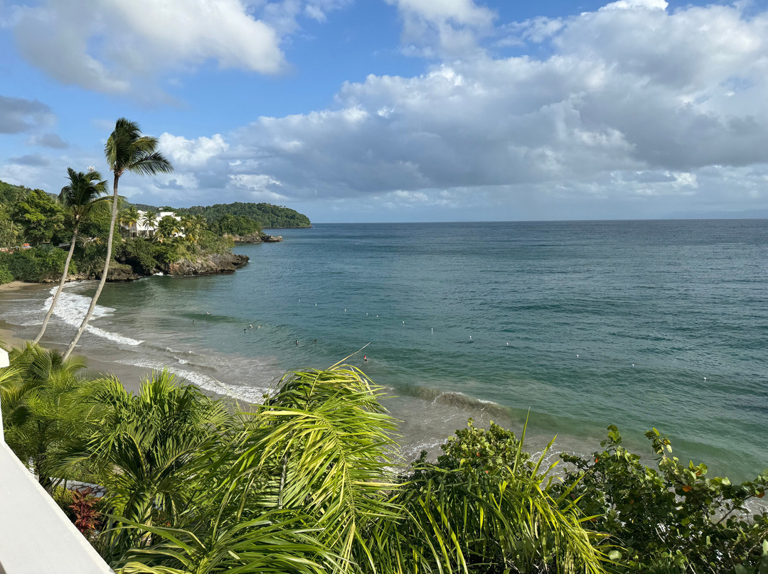 Bahia Principe Grand Samana主图