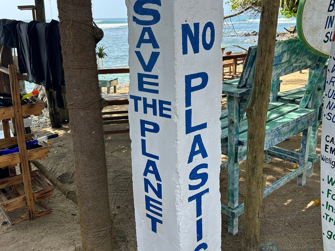 Turtle Bay Activities-瓦勒迦玛必去景点