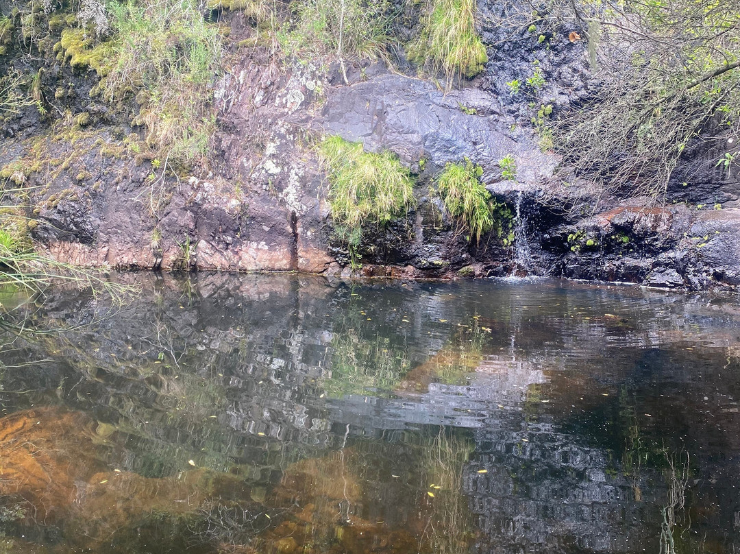 Paseo Sierra de Las Animas-Maldonado必去景点