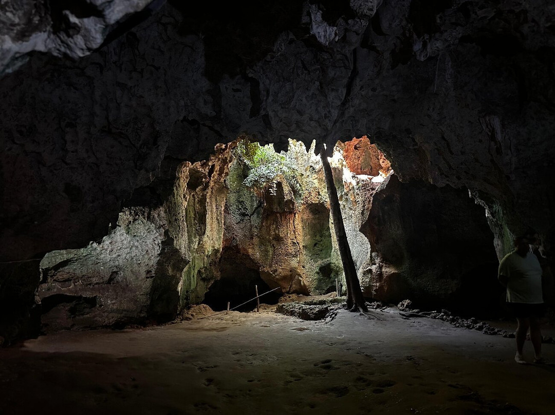 Slave Caves-Shimoni必去景点