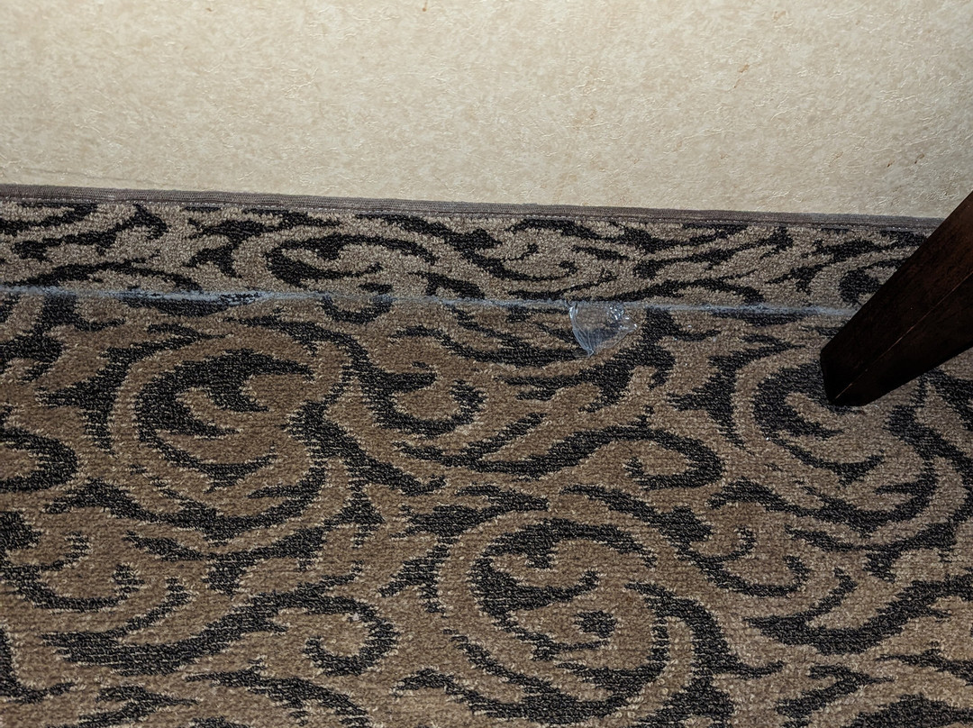 Quality Inn & Conference Centre主图