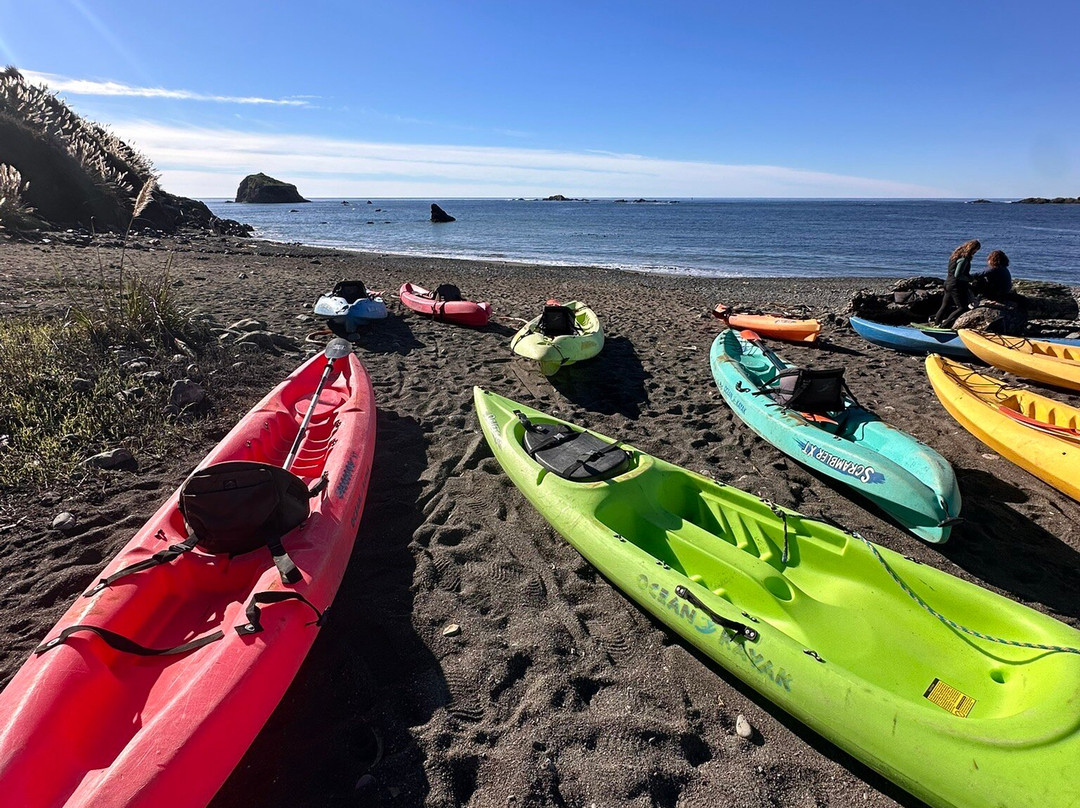 Kayak Mendocino景点图片