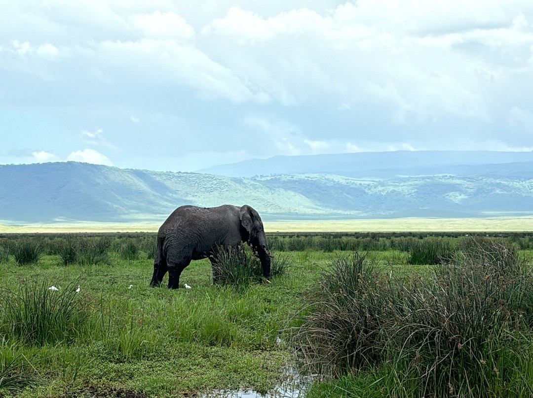 Terrace Uganda Safaris-卡巴莱必去景点