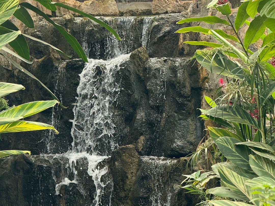 Bannerghatta Biological Park景点图片