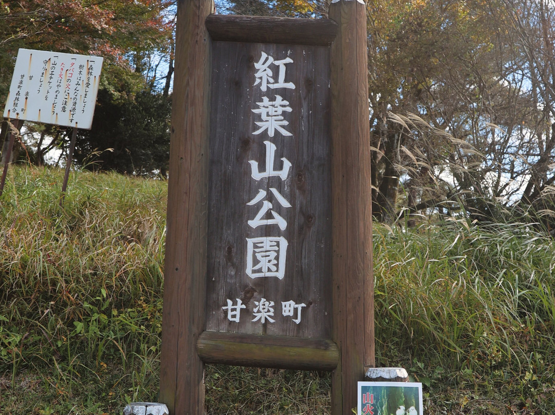 Momijiyama Park景点图片