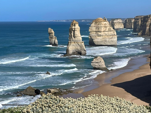 The Private Tour Guide-墨尔本必去景点